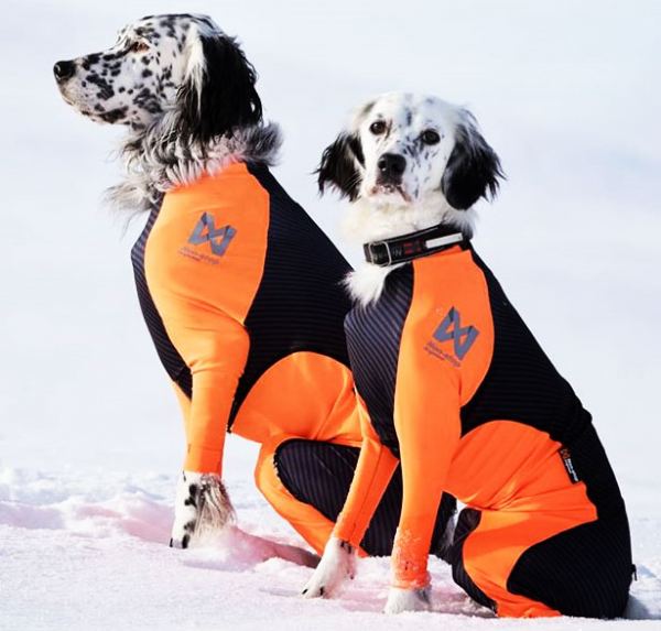 Non-Stop Dogwear Protector Snow H&uuml;ndin